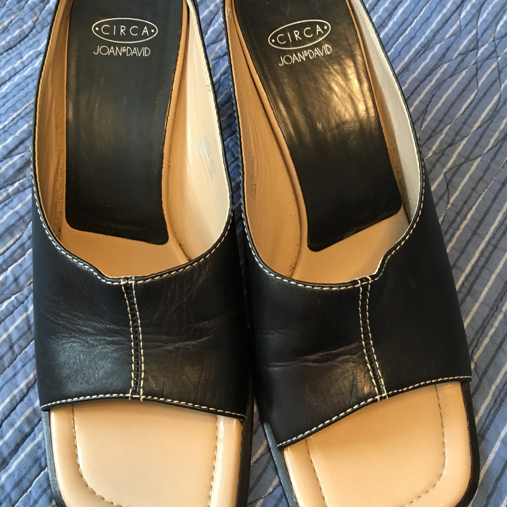 Joan & David Circa Black Leather Mules